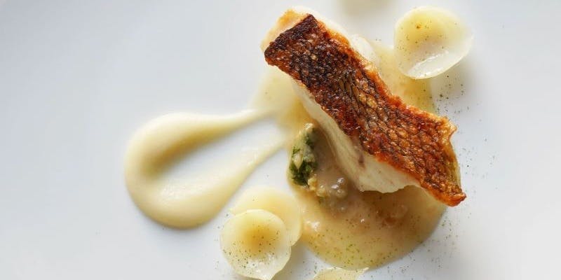 期間限定クリスマスコース