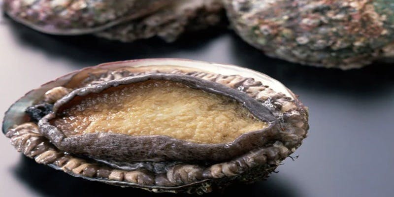 鉄板焼 縁-en- 新宿店 - 画像9