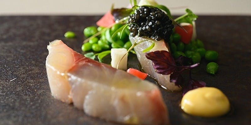 【ディナー】おまかせコース