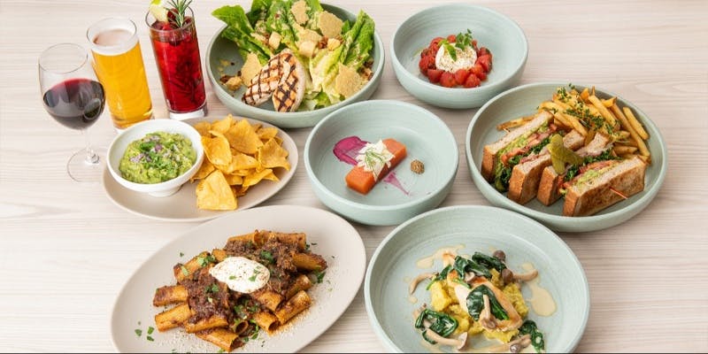 【ライトディナーコース】