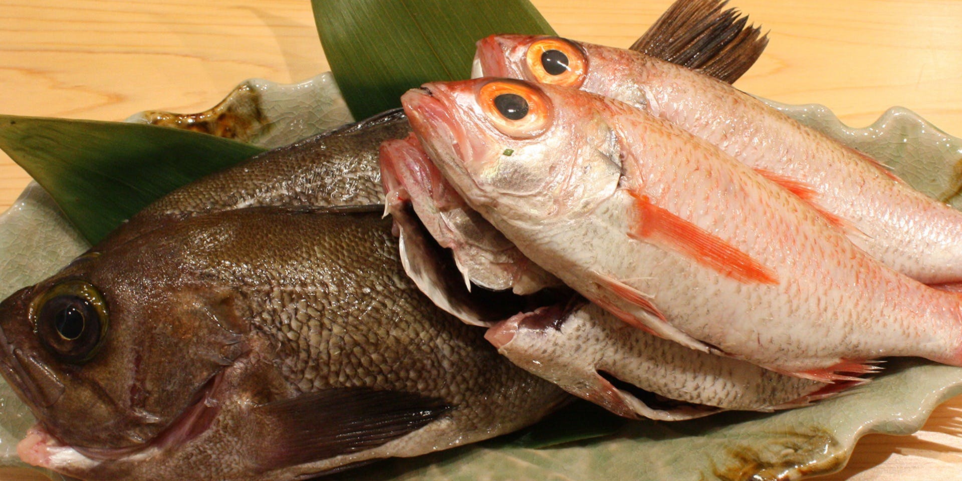 和彩酒菴 しずく - 画像6