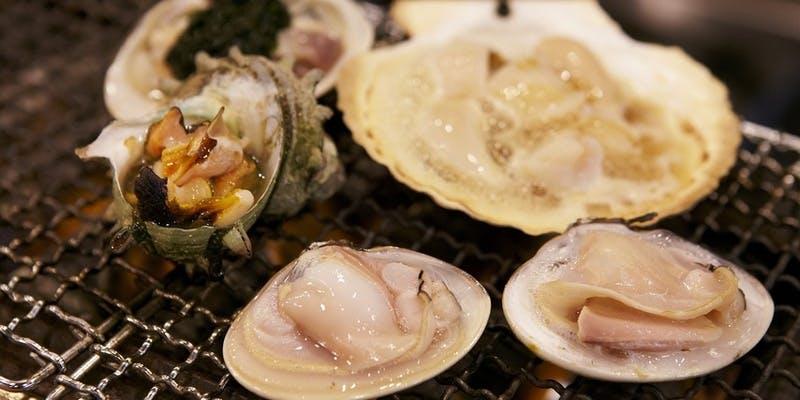 席のみ予約＋内臓美人茶orおすすめ日本酒半合付き（17時～19時までのご来店限定）