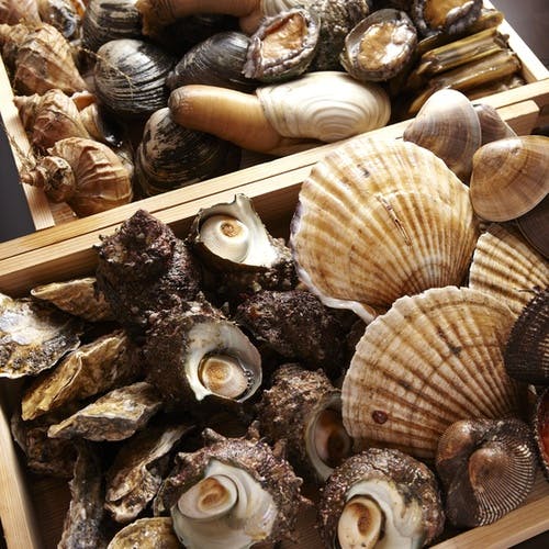 新鮮な貝料理を堪能