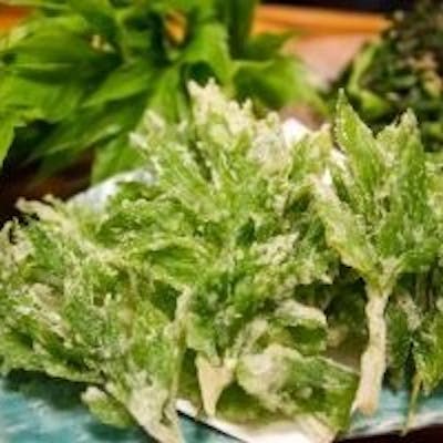 島の滋養をいただく。明日葉・くさやなど、八丈島の豊かな土壌と海が育んだ特産尽くし