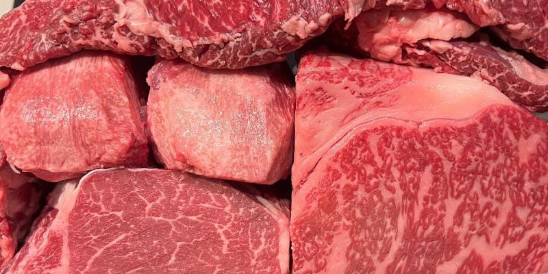 特上 真骨頂コース　11品