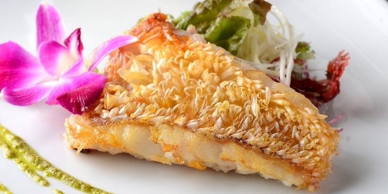 【特選 Course】本マグロ、甘鯛のポワレ、名古屋コーチンのソテーetc.