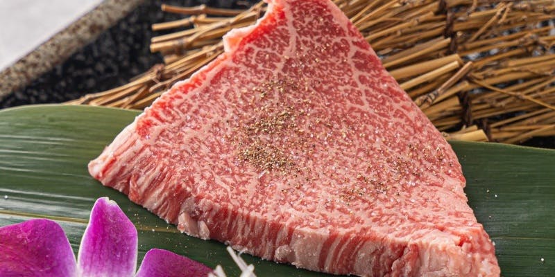 【スペシャル】和牛盛りが入った特別な全12品コース＋90分飲み放題付き