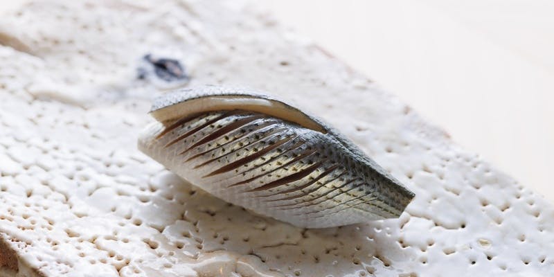 昼のおまかせコース 大将の技と素材が光る江戸前寿司を堪能