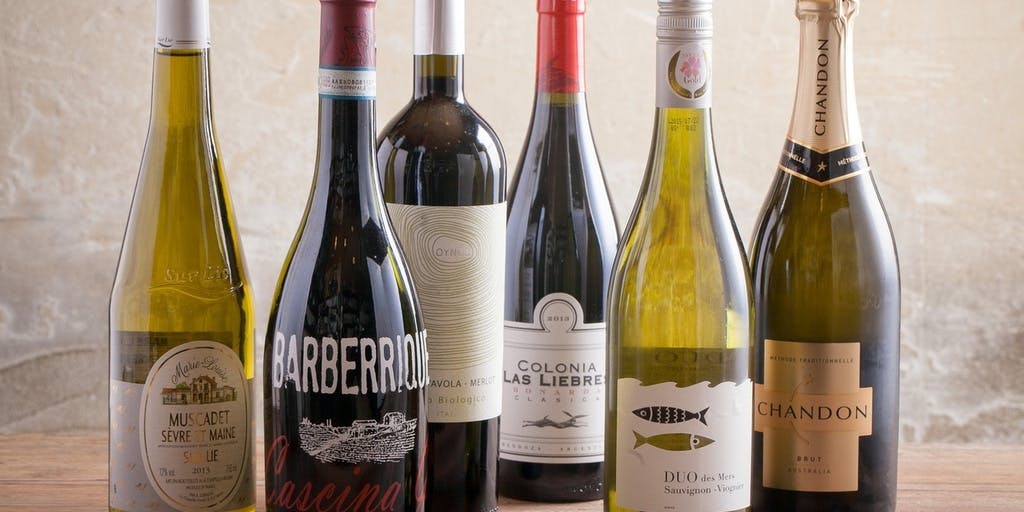 イルピアット 東心斎橋店 - 画像10