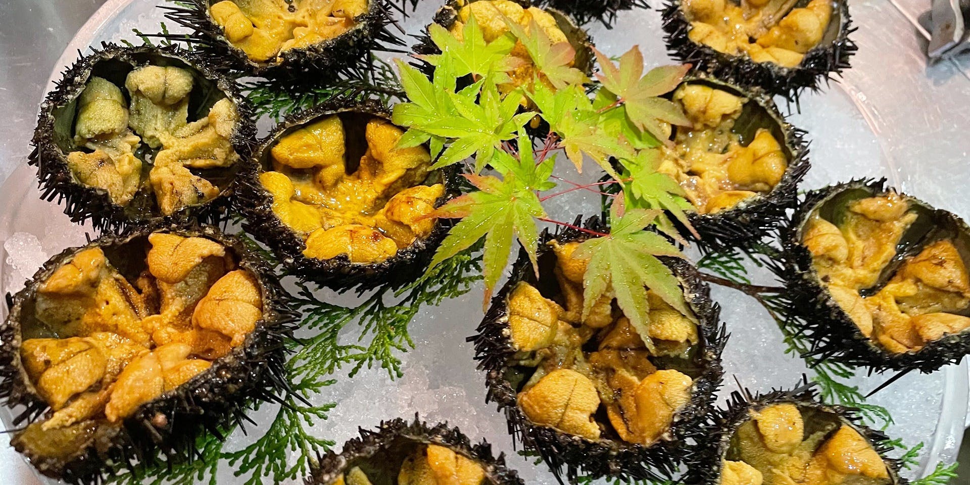 旨い料理・旨い酒 じょうじ - 画像4