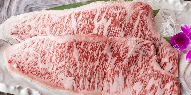 厳選黒毛和牛やシルクロースを驚きの価格で。逸品も充実の全15品「黒毛和牛味わいコース」