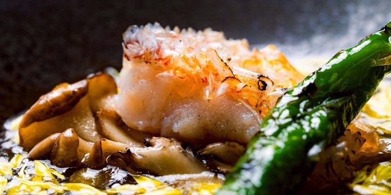 季節のおまかせコース～旬の食材を活かした贅沢な料理を堪能～＋ワインペアリング