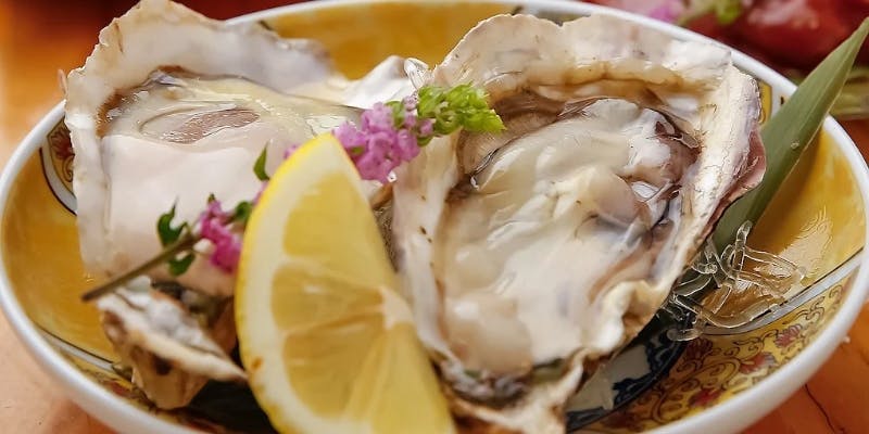 【飲み放題付き】松コース　鶏の刺身盛りに加え、海鮮浜焼き等も楽しめる（全9品）