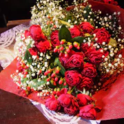 imgi_146_P1010096