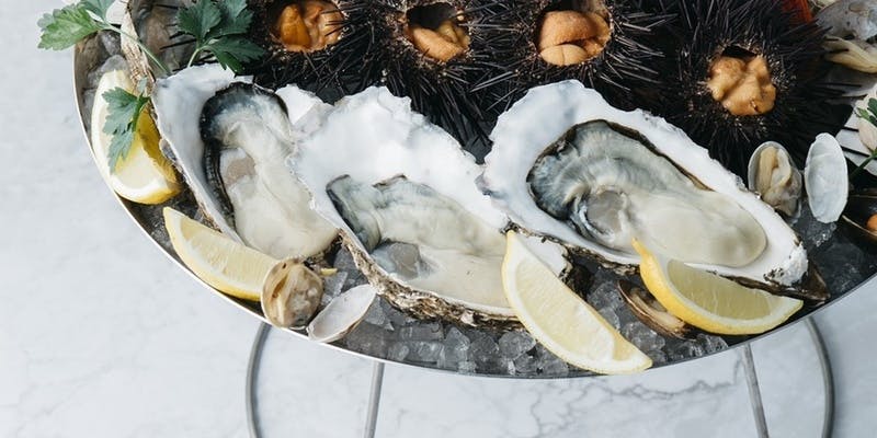 ディナー【“極”コース　大皿料理＋2時間飲み放題付き】（リクエスト予約）