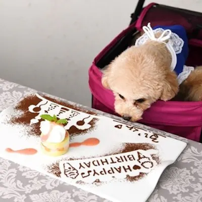 全席愛犬同伴可能。エレガントな空間で過ごす上質なひととき