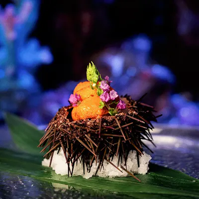 幻想的な水景とともに味わう、ミシュランシェフ監修の料理