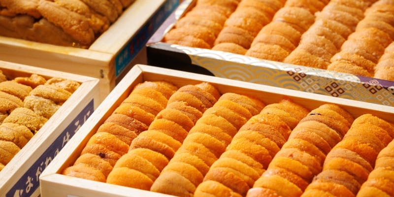 ���w �����p