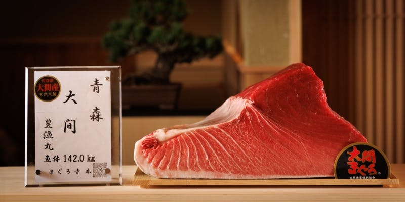 ���w �����p