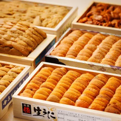 名駅初。カウンタ―寿司店で雲丹も食べ放題のランチコース