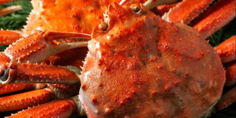 �� �I ���i ���ɐ�