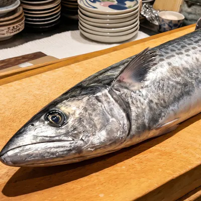 お魚マイスター厳選の天然活魚と活〆のみを味わう至福