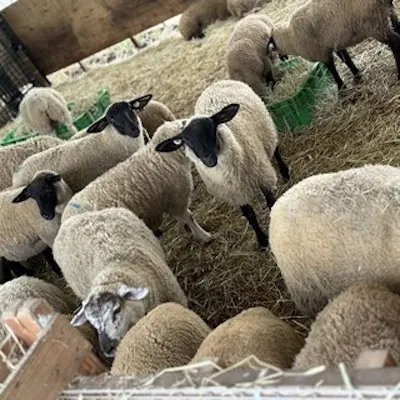全国各地の信頼する生産者様から食材を産直で仕入れる