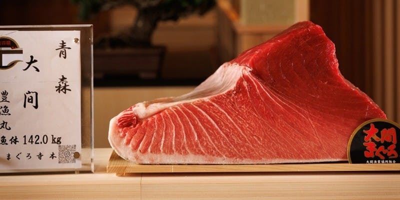 ���� �����p