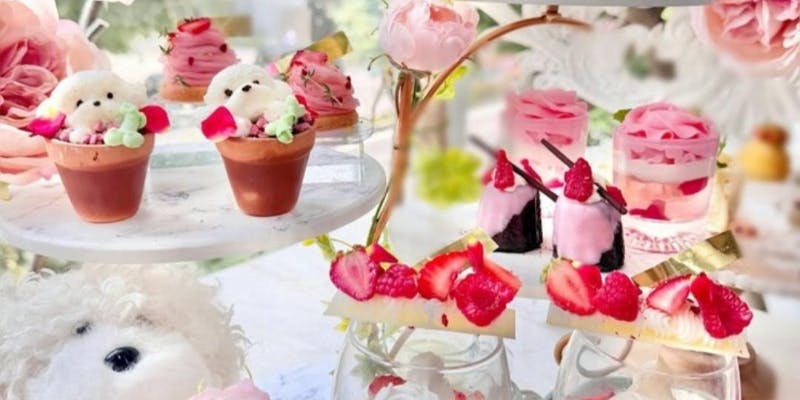 HAUTE COUTURE BRUNCH