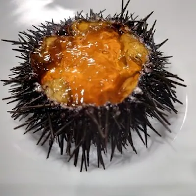 季節のお勧め料理をご用意しております。