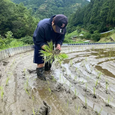生産者の想いをつなぐ。店主が自ら収穫した“徳島の今”を贅沢に