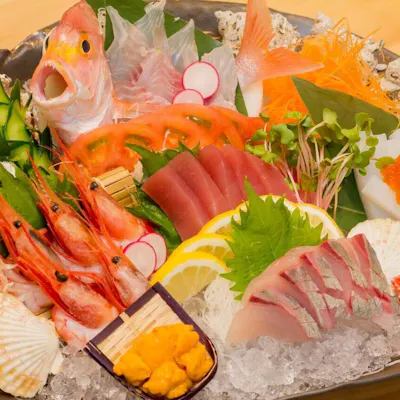 高知の旬を気軽に味わう、多彩な郷土料理と鮮魚