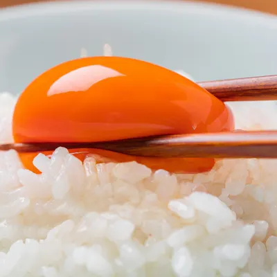 「炎舞炊き」で炊き上げる絶品ごはんと、旬食材を活かした滋味深い和食