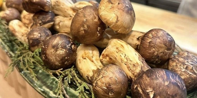 ���{���� �����Â�