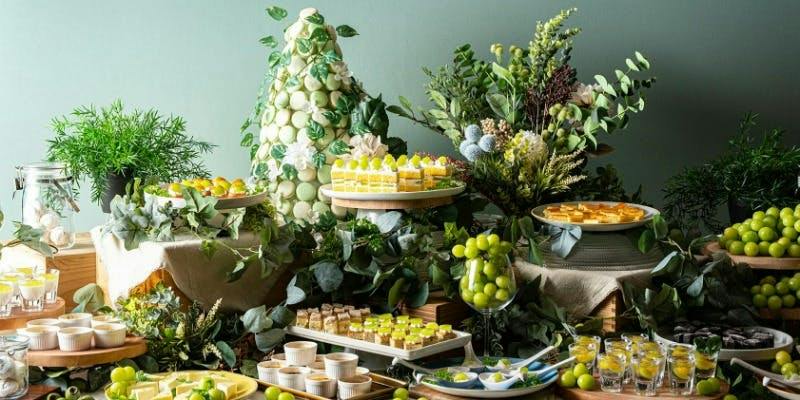 Cucina Bella�^��ېS�֋� �ŏ�K�i10F�j