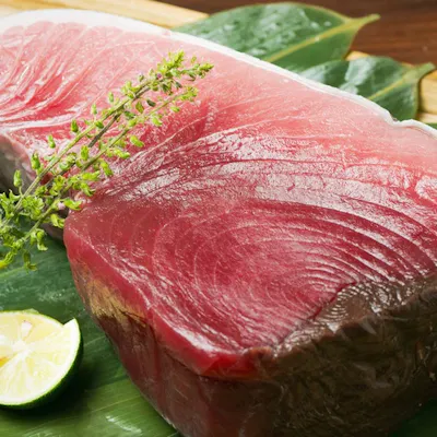 相模湾の釣りたて鮮魚を味わう旬の魚料理