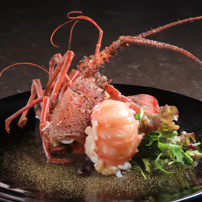 広島の海と山が育んだ旬の恵み。贅沢な地場食材を味わう鉄板焼きコース