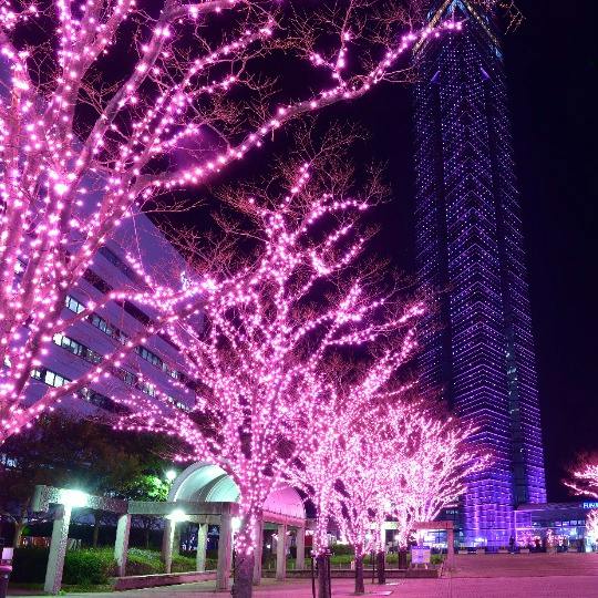 福岡タワー
