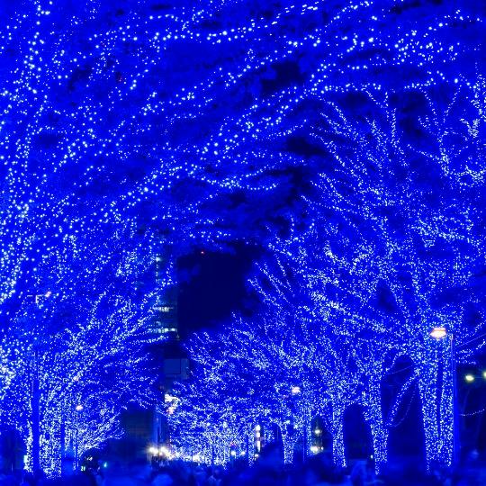 代々木公園