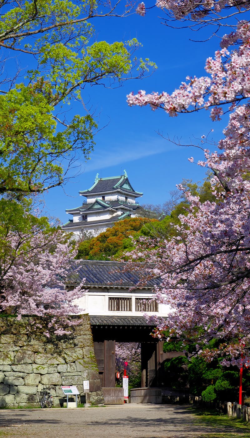 22年 和歌山お花見で行きたい桜名所 和歌山お花見におすすめ人気スポット10選 一休 Comレストラン