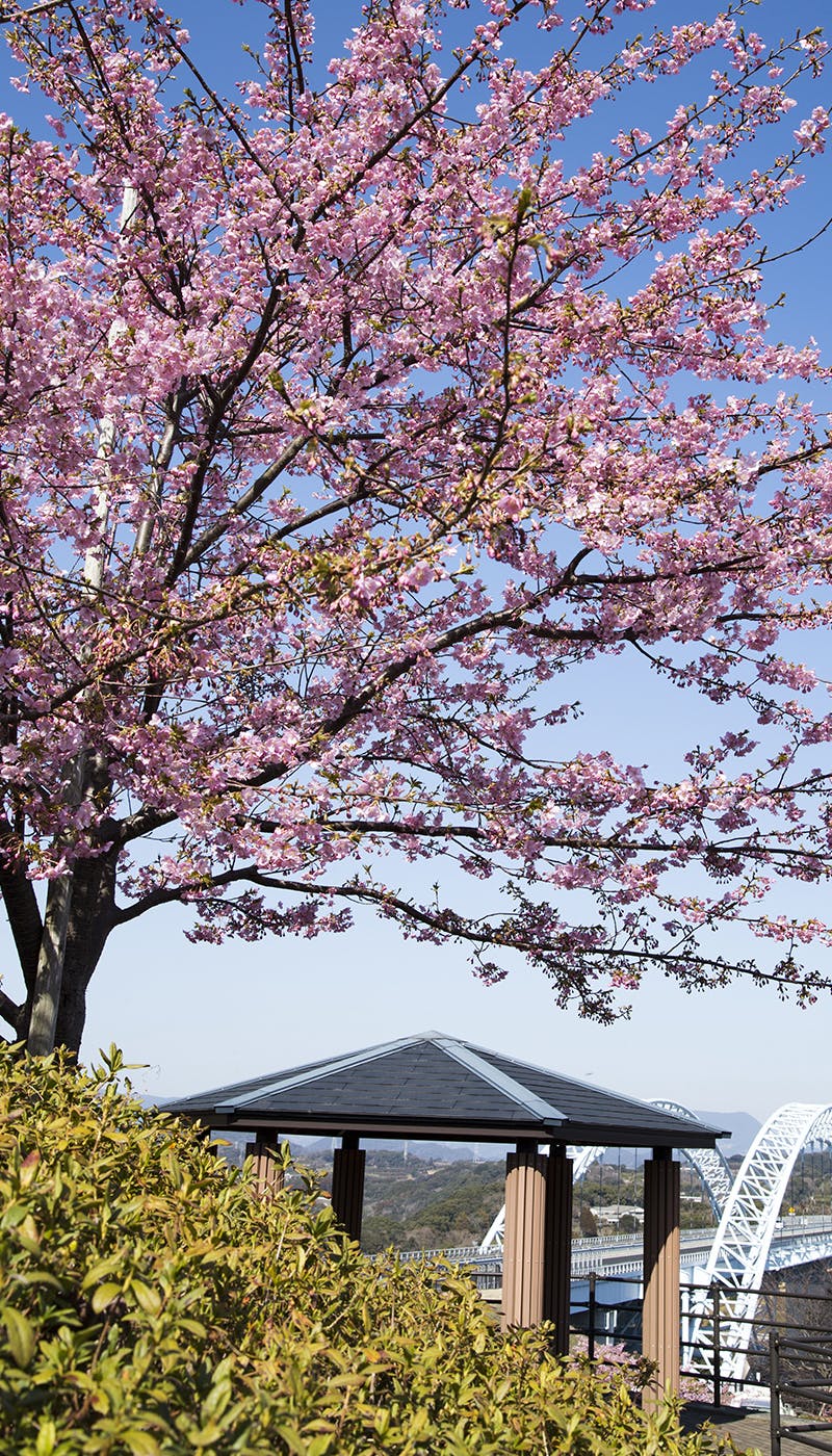 21年 長崎観光で行きたい名所 長崎旅行おすすめ人気スポット7選 一休 Comレストラン