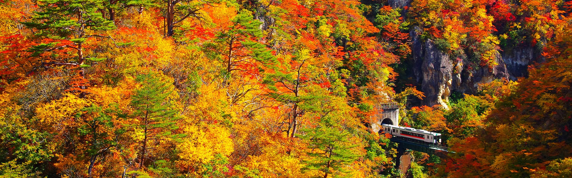 宮城紅葉21 宮城 秋の風物詩 紅葉を愉しむ 紅葉おすすめ人気スポット9選 一休 Comレストラン