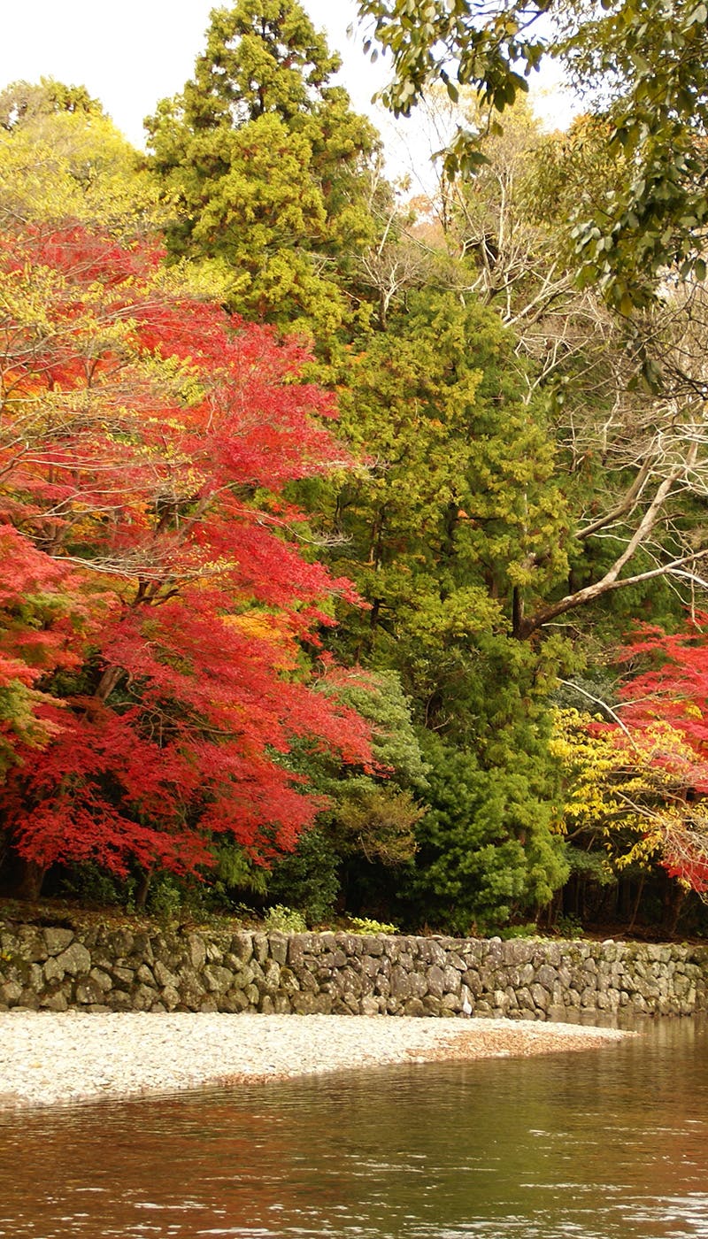 三重紅葉22 三重 秋の風物詩 紅葉を愉しむ 紅葉おすすめ人気スポット6選 一休 Comレストラン