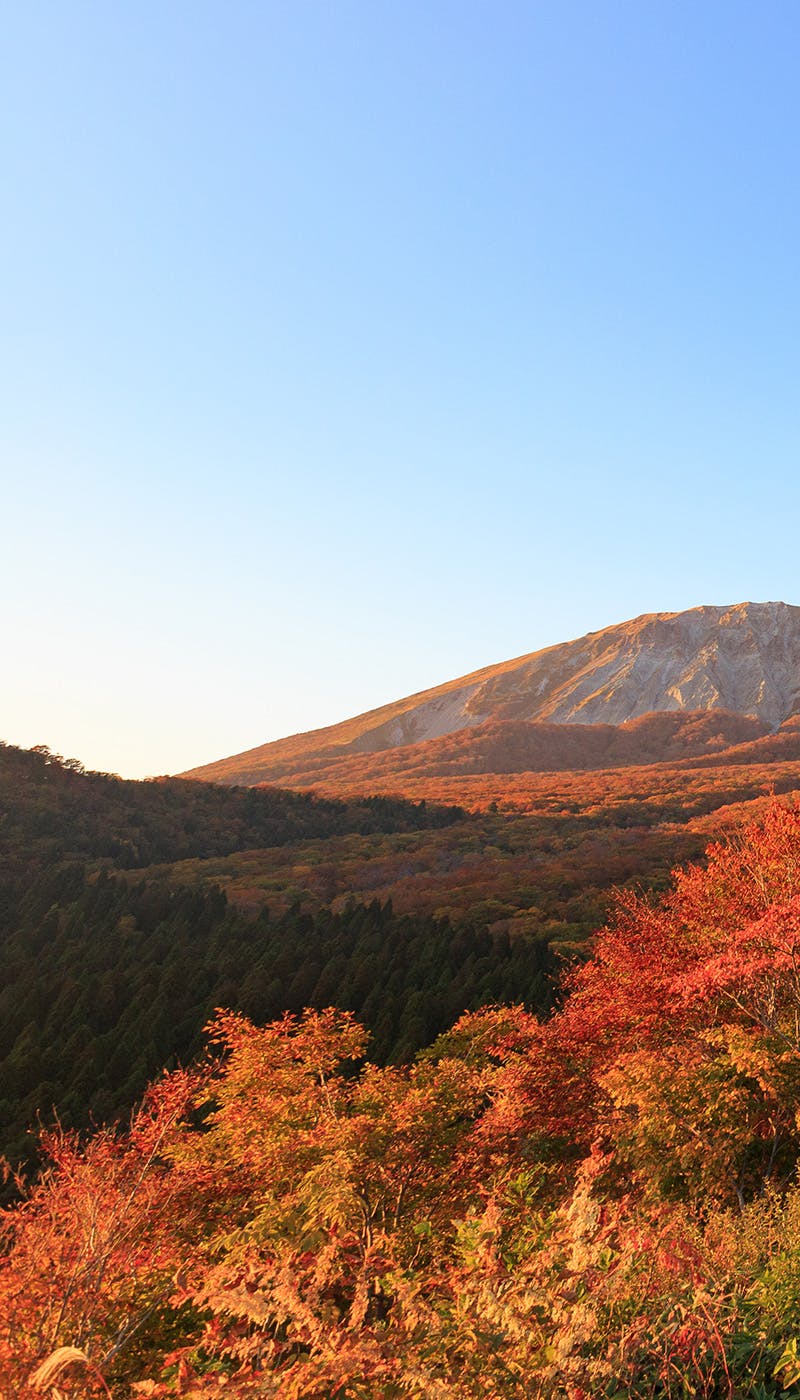 鳥取紅葉22 鳥取 秋の風物詩 紅葉を愉しむ 紅葉おすすめ人気スポット12選 一休 Comレストラン