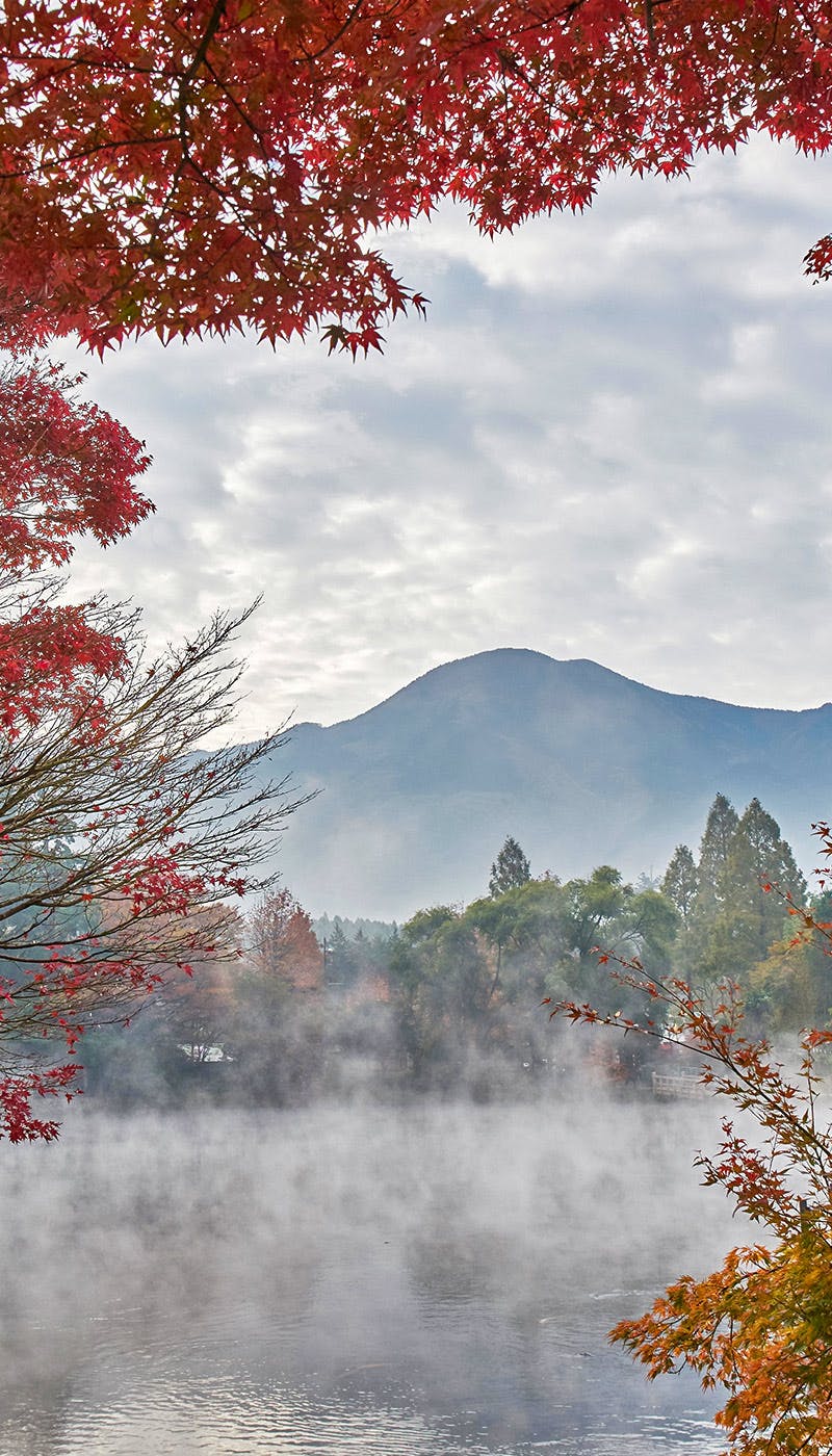 大分紅葉22 大分 秋の風物詩 紅葉を愉しむ 紅葉おすすめ人気スポット7選 一休 Comレストラン