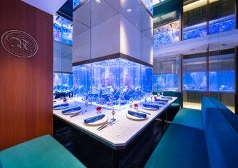 上野 アクアリウムレストラン Nautilus ノーチラス 上野 イタリアン 一休 Comレストラン