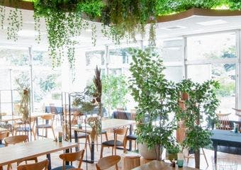 森の恵みと技が織りなす、季節の逸品