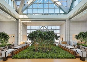 41階からの圧倒的な眺望を望むガラスアトリウムで、より美しく進化したアフタヌーンティーやライトミールをお楽しみください。