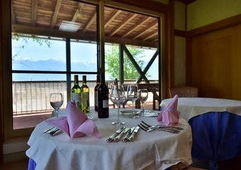 オーベルジュ・メイヤの樹