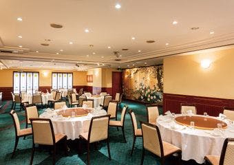 本場の技が織りなす極上中華、厳選食材で祝う特別なひととき